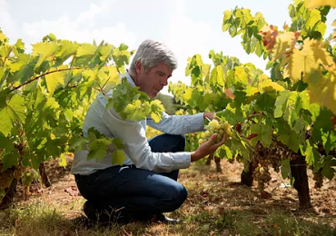 VISITA A BODEGAS ROBLES, MONTILLA, CÓRDOBA