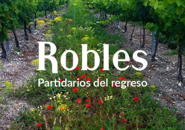 VERMUT VRMT. BODEGAS ROBLES